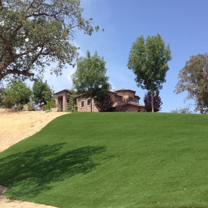 Synthetic Grass Temple City, California Rooftop, Landscaping Ideas For Front Yard