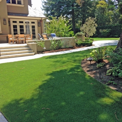 Synthetic Grass Vandenberg Air Force Base, California Roof Top, Backyard Landscaping Ideas