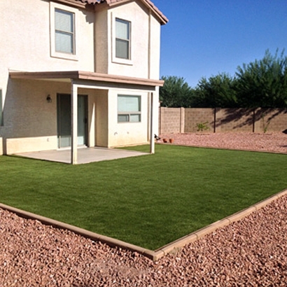 Synthetic Lawn Derby Acres, California Landscape Design, Backyard Landscaping