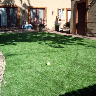 Synthetic Turf Los Serranos, California Landscaping, Beautiful Backyards