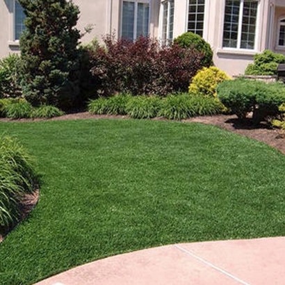 Synthetic Turf Supplier Carson, California City Landscape, Front Yard Landscaping