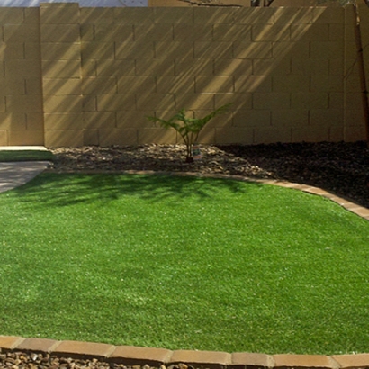 Synthetic Turf Supplier Cuyama, California Landscape Ideas, Backyard