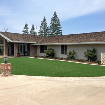 Turf Grass Arcadia, California Lawns, Small Front Yard Landscaping