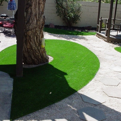 Turf Grass Cherokee Strip, California Rooftop, Backyard Designs