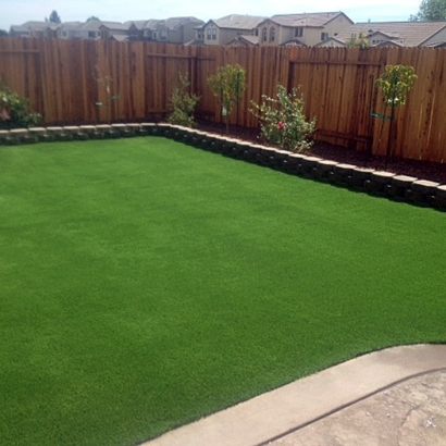 Turf Grass Edwards Air Force Base, California Roof Top, Backyard Landscape Ideas