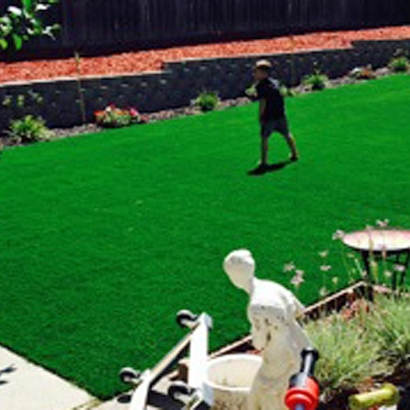 Turf Grass Las Flores, California Lawn And Landscape, Backyard Landscaping Ideas