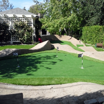 Turf Grass Pasadena, California City Landscape, Backyards