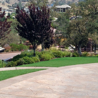 Turf Grass Signal Hill, California Paver Patio, Landscaping Ideas For Front Yard