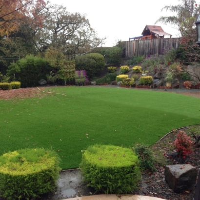 Turf Grass South San Jose Hills, California Lawn And Landscape, Backyard Garden Ideas