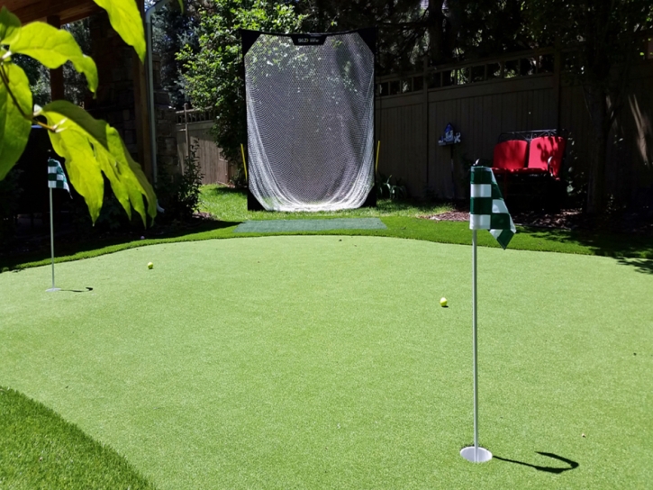 Artificial Grass Buttonwillow, California Landscape Design, Backyard Makeover