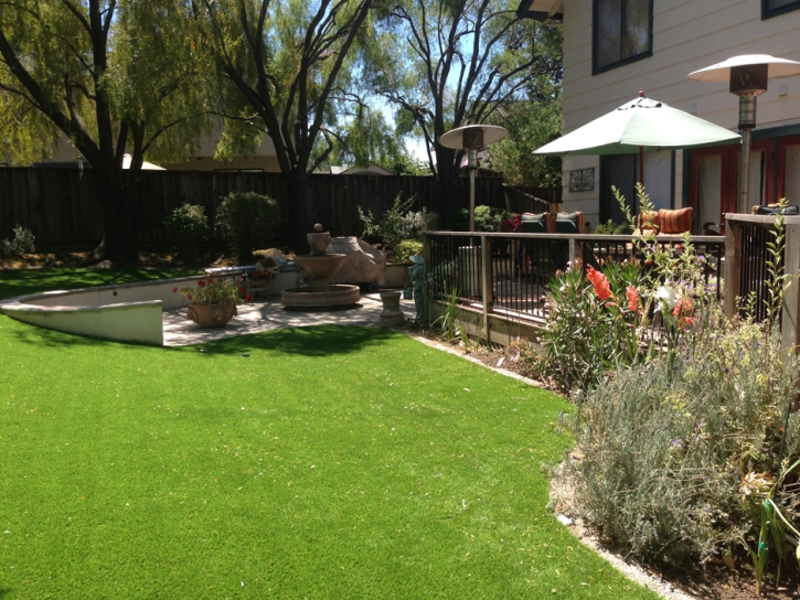 Artificial Grass Carpet Artesia, California Lawns, Backyard Landscape Ideas