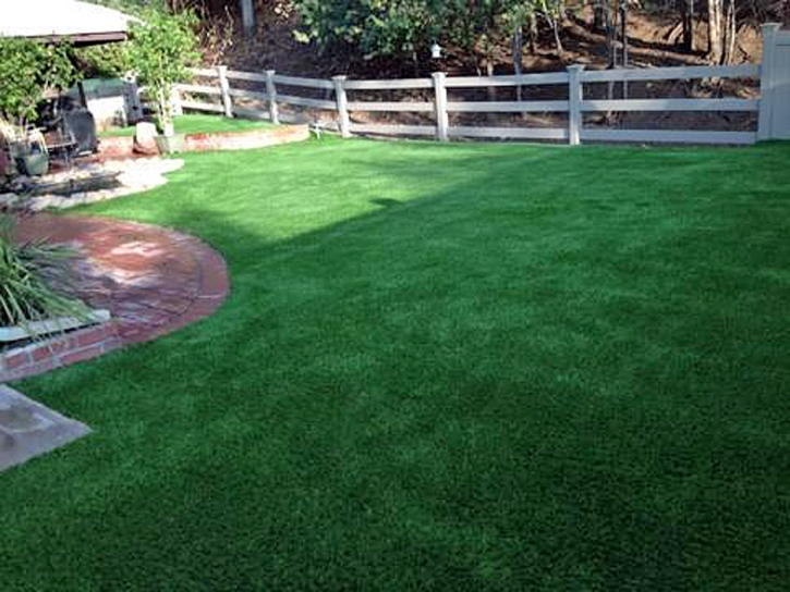 Artificial Grass Carpet Chatsworth, California Pet Turf, Backyard Designs