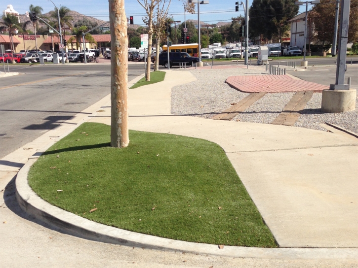 Artificial Grass Carpet Fullerton, California Landscaping, Commercial Landscape