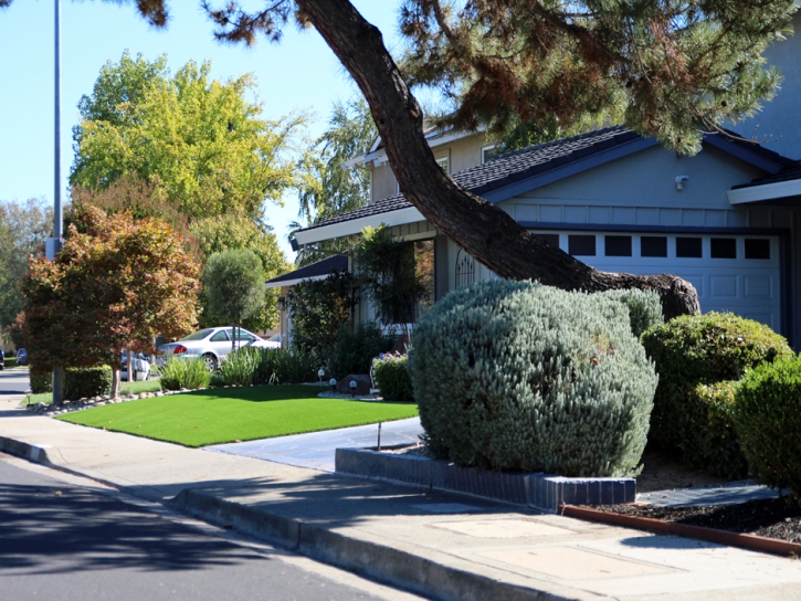 Artificial Grass Carpet Maywood, California Lawn And Landscape, Front Yard Landscape Ideas