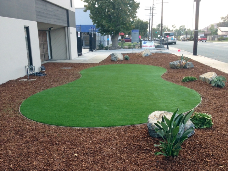 Artificial Grass Carpet Moorpark, California Landscape Design, Commercial Landscape