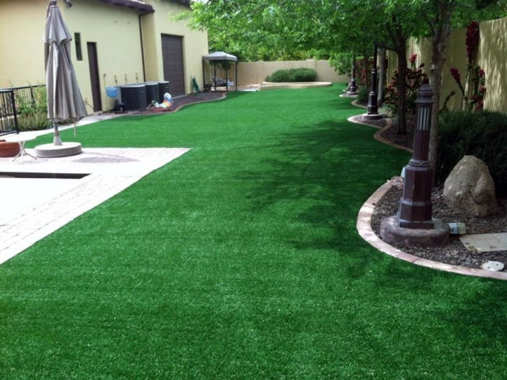 Artificial Grass Carpet Wasco, California Landscape Ideas, Backyard Ideas