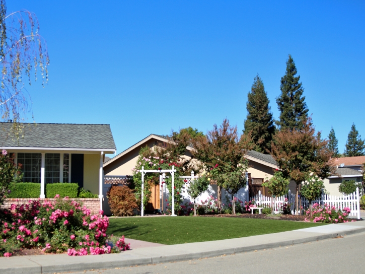 Artificial Grass Carpet West Whittier-Los Nietos, California Landscape Photos, Front Yard Ideas