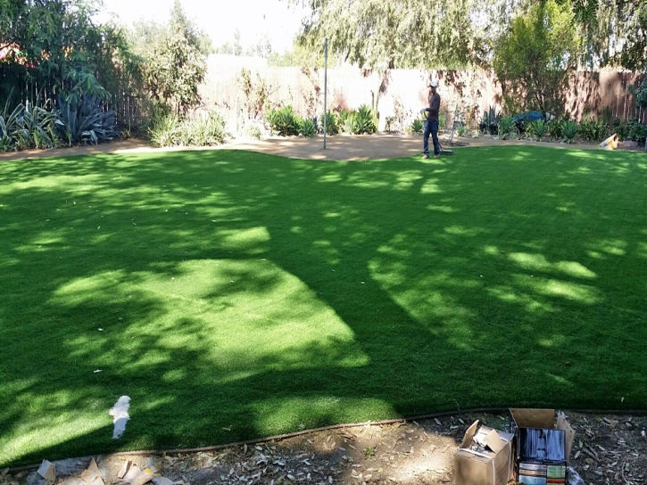 Artificial Grass Dustin Acres, California Landscape Rock, Backyard Design