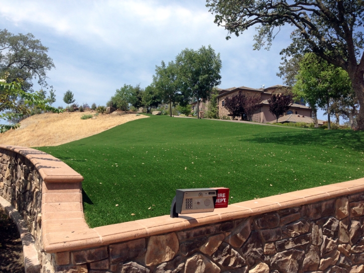 Artificial Grass Inglewood, California Landscape Photos, Small Front Yard Landscaping