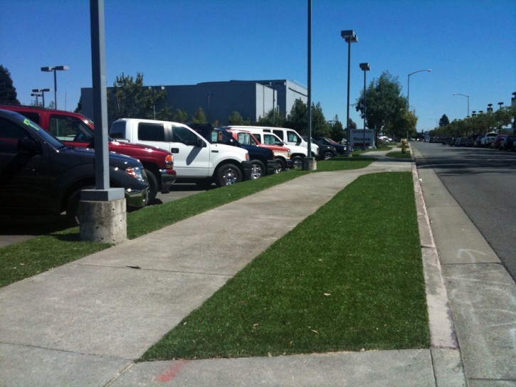 Artificial Grass Installation Beverly Hills, California Home And Garden, Commercial Landscape