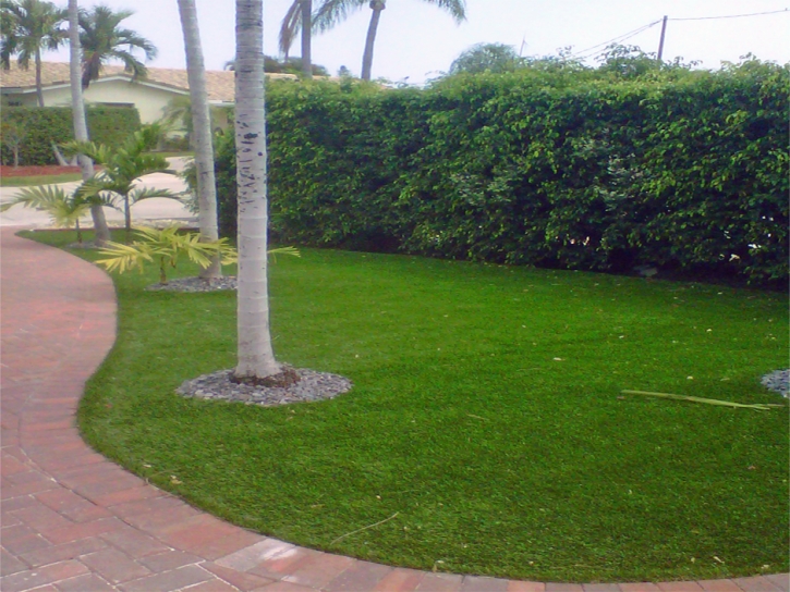 Artificial Grass Installation Buena Park, California Lawns, Front Yard Landscaping Ideas