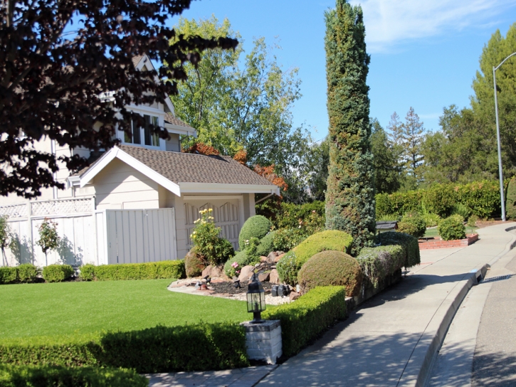 Artificial Grass Installation McKittrick, California Landscaping Business, Front Yard Landscaping