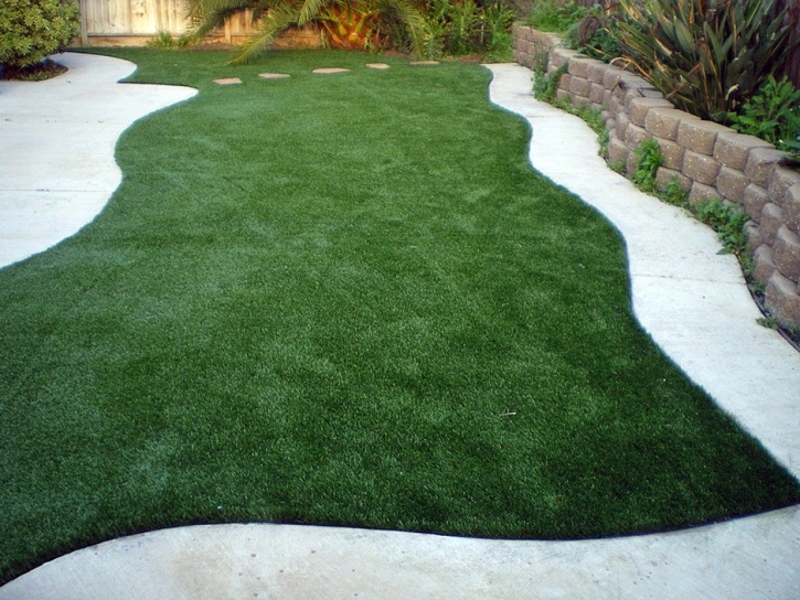 Artificial Grass La Crescenta-Montrose, California Landscape Design, Backyard Design