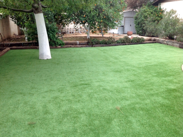 Artificial Grass Leona Valley, California Landscaping Business, Backyard Design