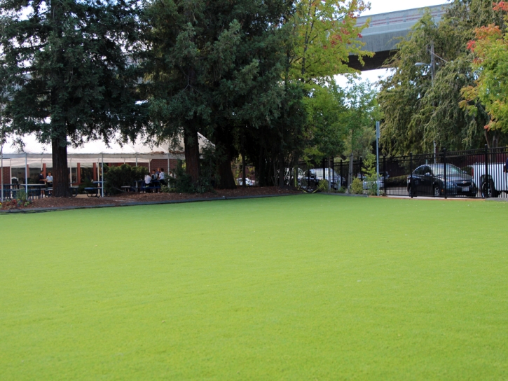 Artificial Grass Lynwood, California Landscape Design, Commercial Landscape