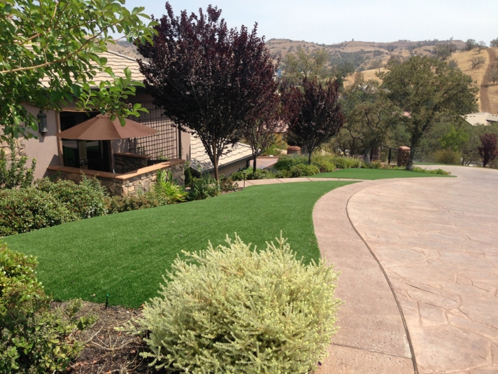 Artificial Grass Monrovia, California Landscape Rock, Front Yard Landscaping