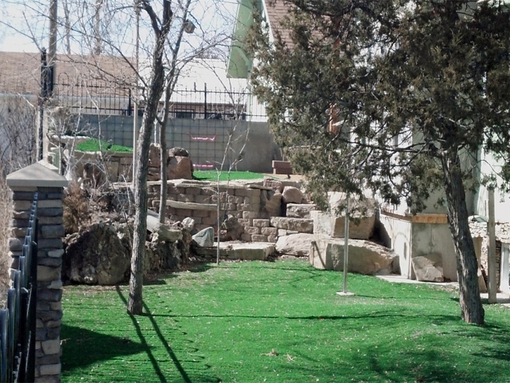 Artificial Grass Oak View, California Design Ideas, Backyards