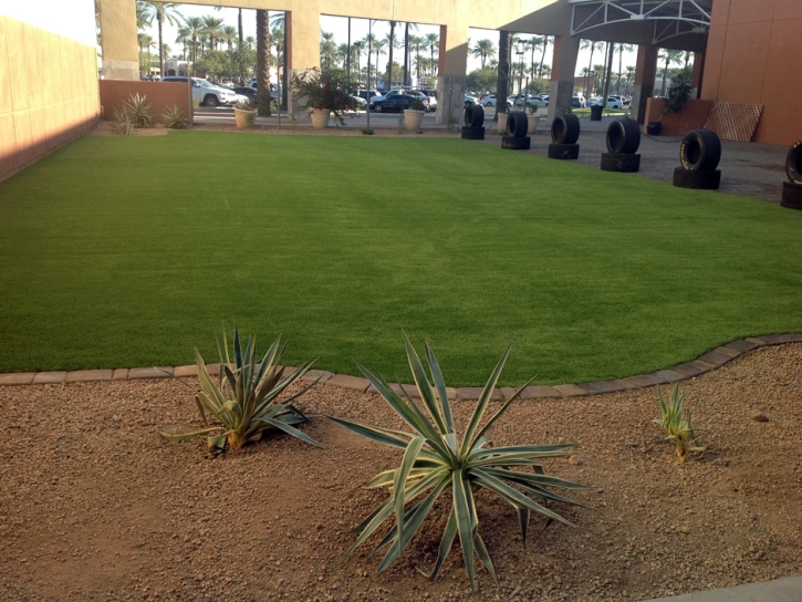 Artificial Grass San Marino, California Landscape Ideas, Commercial Landscape