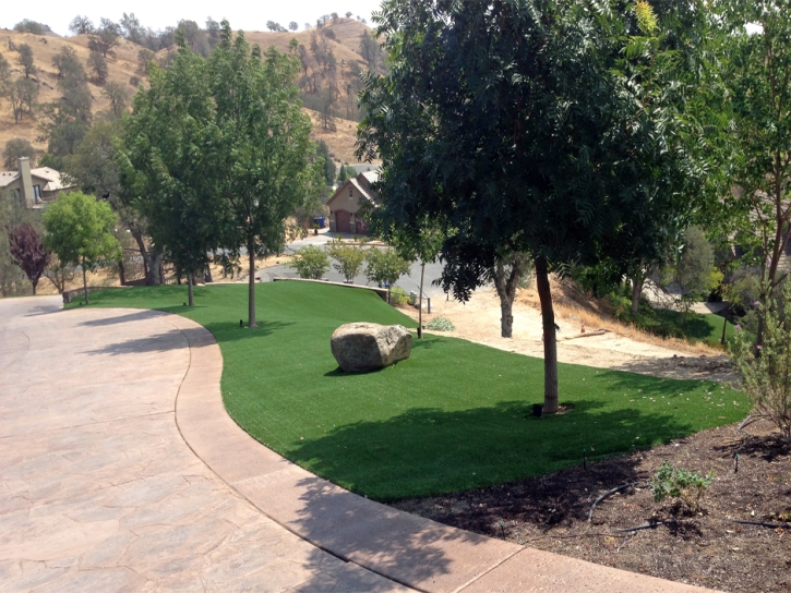 Artificial Grass Sierra Madre, California Lawn And Garden, Front Yard Landscaping Ideas