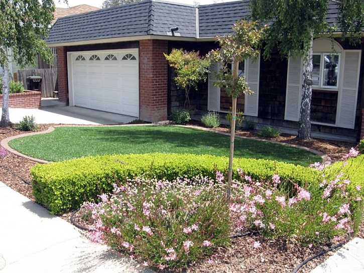 Artificial Grass Weedpatch, California Home And Garden, Front Yard Landscaping Ideas