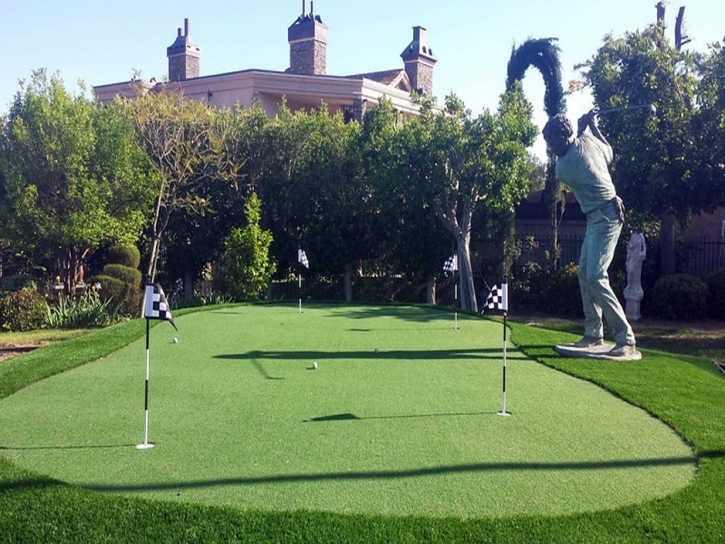 Artificial Lawn Alondra Park, California Indoor Putting Green, Backyard Landscaping Ideas