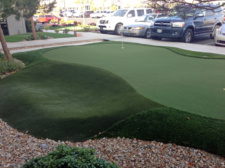 Artificial Lawn Citrus, California Artificial Putting Greens, Commercial Landscape