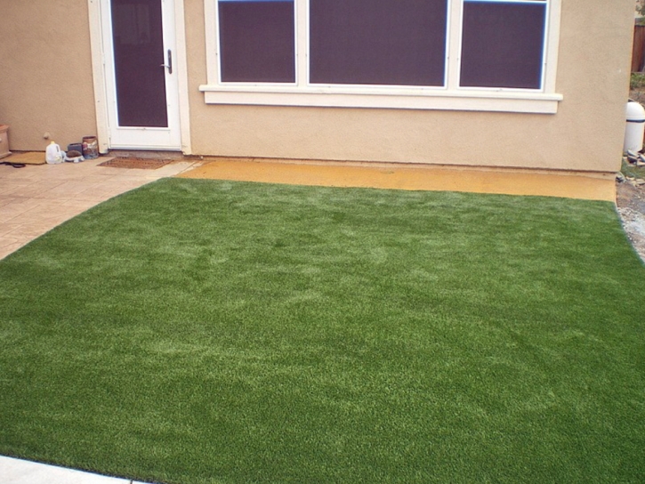 Artificial Lawn El Segundo, California Lawn And Landscape, Backyard Landscaping Ideas