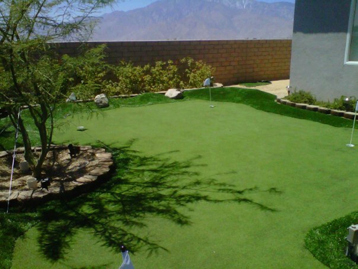 Artificial Lawn Fillmore, California Landscaping, Backyard Garden Ideas