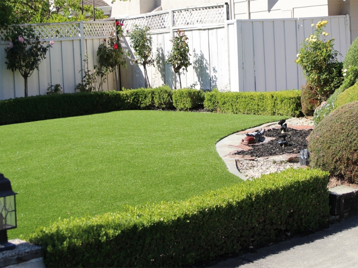 Artificial Lawn Greenfield, California Roof Top, Front Yard