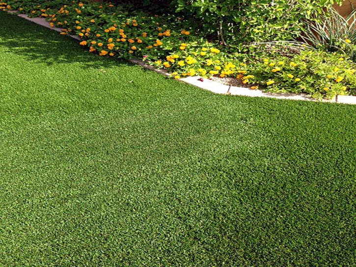 Artificial Lawn Guadalupe, California Backyard Deck Ideas, Small Front Yard Landscaping