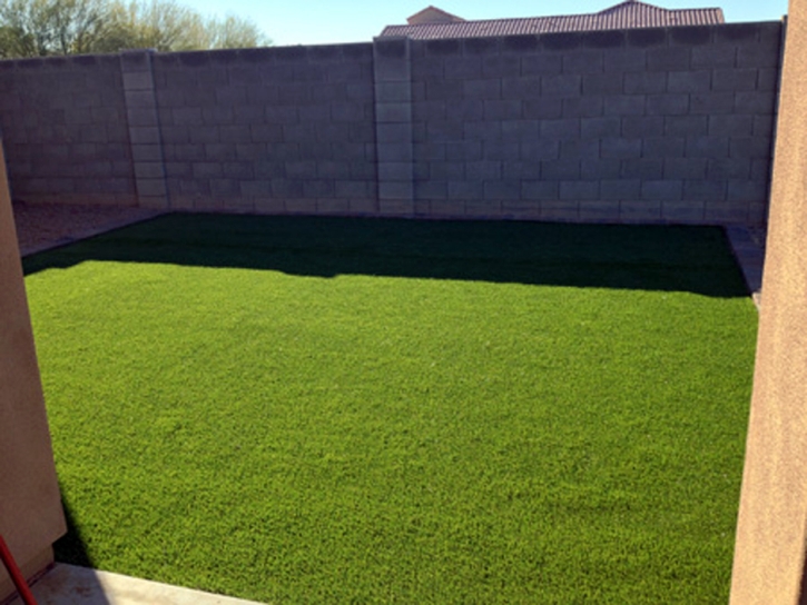 Artificial Lawn La Crescenta-Montrose, California Rooftop, Backyard