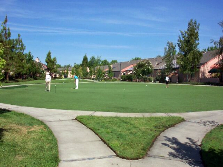 Artificial Lawn Lake Hughes, California City Landscape, Commercial Landscape