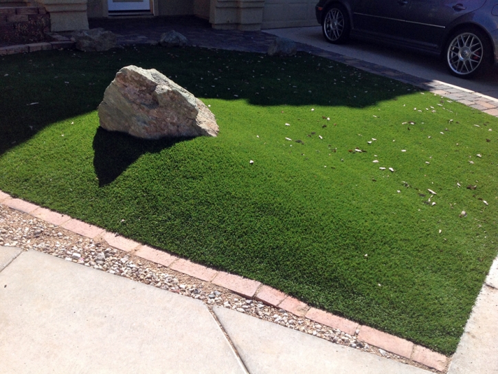 Artificial Lawn Mayflower Village, California Landscaping