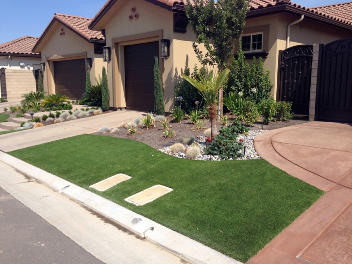 Artificial Lawn Monterey Park, California Landscape Ideas, Front Yard Landscape Ideas