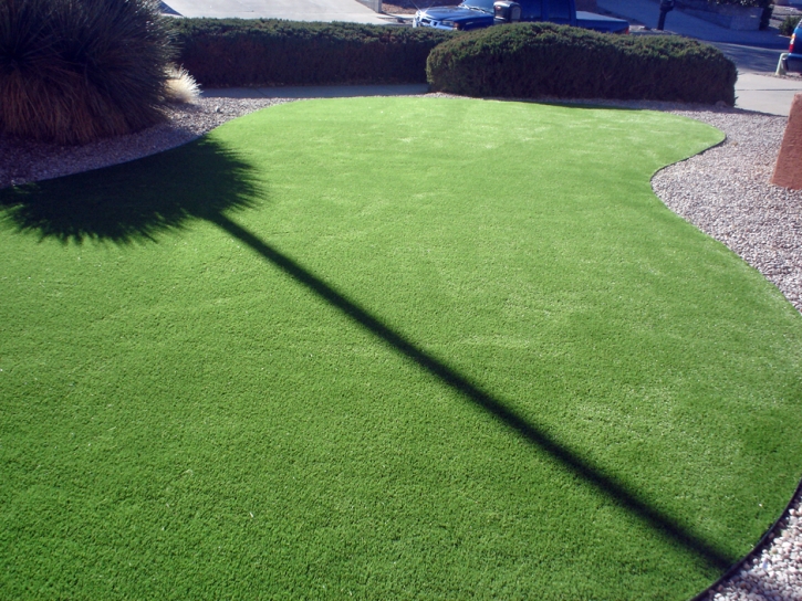 Artificial Lawn Oildale, California Lawn And Landscape, Front Yard