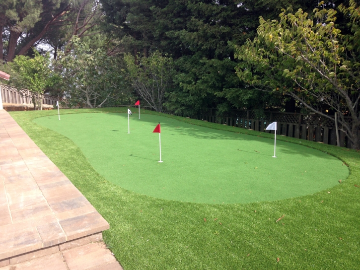 Artificial Lawn Paramount, California Outdoor Putting Green, Backyard Design