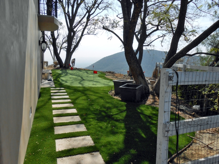 Artificial Lawn San Gabriel, California Best Indoor Putting Green, Backyard Landscaping