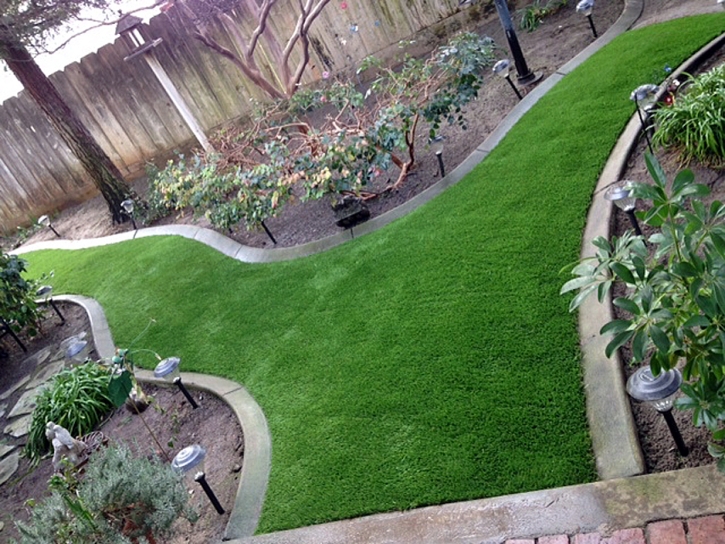 Artificial Lawn Santa Fe Springs, California Lawns, Small Backyard Ideas