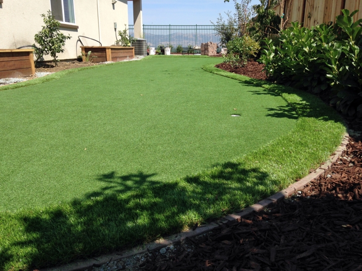 Artificial Lawn Sisquoc, California Landscape Design, Backyard