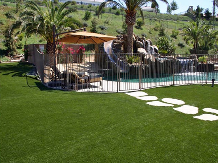 Artificial Lawn Torrance, California Design Ideas, Pool Designs